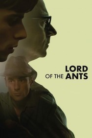 titta-Lord of the Ants-online
