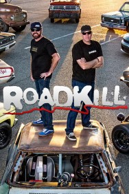 titta-Roadkill-online