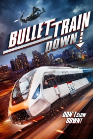 titta-Bullet Train Down-online