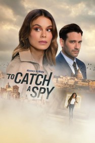 titta-To Catch a Spy-online