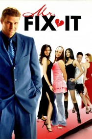 titta-Mr. Fix It-online
