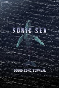 titta-Sonic Sea-online