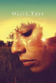 titta-The Olive Tree-online