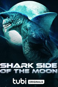 titta-Shark Side of the Moon-online