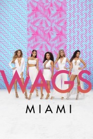 titta-WAGS Miami-online
