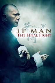 titta-Ip Man: The Final Fight-online