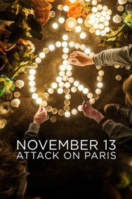 titta-November 13: Attack on Paris-online