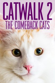 titta-Catwalk 2: The Comeback Cats-online