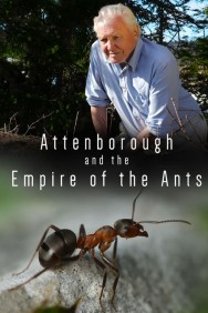 titta-Attenborough and the Empire of the Ants-online