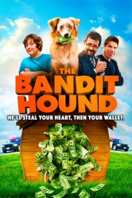titta-The Bandit Hound-online
