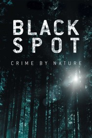 titta-Black Spot-online