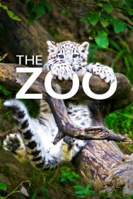 titta-The Zoo-online