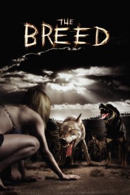 titta-The Breed-online