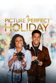 titta-A Picture Perfect Holiday-online