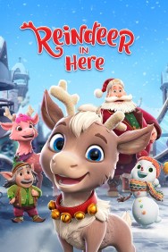 titta-Reindeer in Here-online