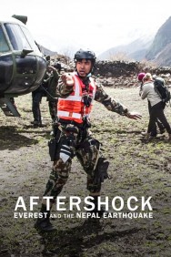 titta-Aftershock: Everest and the Nepal Earthquake-online