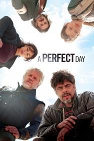 titta-A Perfect Day-online