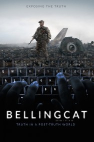 titta-Bellingcat: Truth in a Post-Truth World-online
