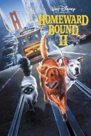titta-Homeward Bound II: Lost in San Francisco-online