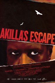 titta-Akilla's Escape-online