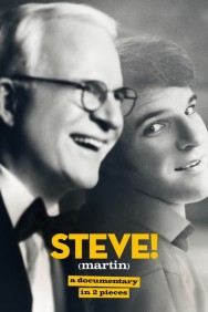 titta-STEVE! (martin) a documentary in 2 pieces-online