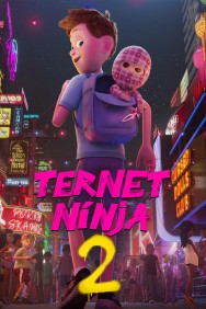 titta-Checkered Ninja 2-online