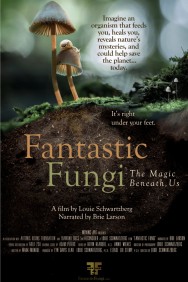 titta-Fantastic Fungi-online
