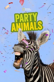 titta-Party Animals-online