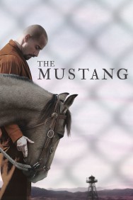 titta-The Mustang-online