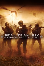 titta-Seal Team Six: The Raid on Osama Bin Laden-online