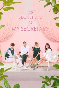 titta-The Secret Life of My Secretary-online