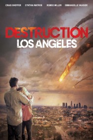 titta-Destruction: Los Angeles-online