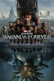 titta-Black Panther: Wakanda Forever-online