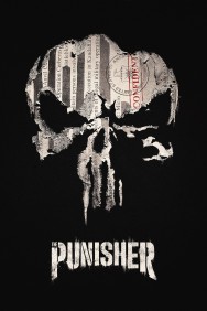 titta-Marvel's The Punisher-online