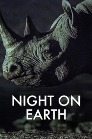 titta-Night on Earth-online