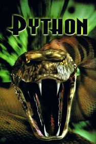 titta-Python-online