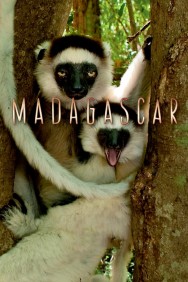 titta-Madagascar-online