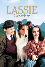 titta-Lassie Come Home-online