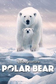 titta-Polar Bear-online