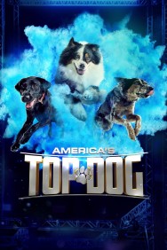 titta-America's Top Dog-online