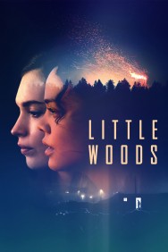 titta-Little Woods-online