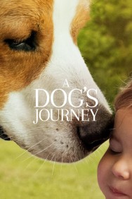 titta-A Dog's Journey-online