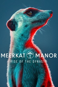 titta-Meerkat Manor: Rise of the Dynasty-online
