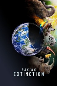 titta-Racing Extinction-online