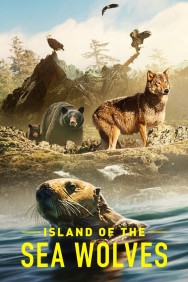 titta-Island of the Sea Wolves-online