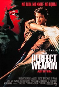 titta-The Perfect Weapon-online