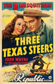 titta-Three Texas Steers-online