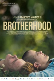 titta-Brotherhood-online