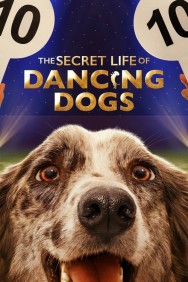 titta-The Secret Life of Dancing Dogs-online