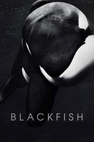 titta-Blackfish-online